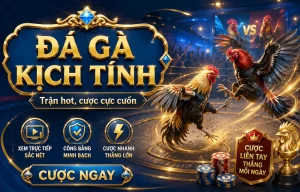 Giao diện sảnh Đá Gà fairbet7in
